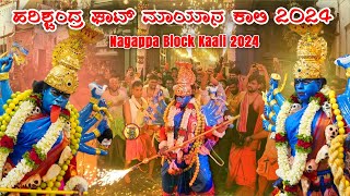 HARISHCHANDRA GHAT MAYANA KALI 2024  NAGAPPA BLOCK ANGALAPARAMESHWARI TEMPLE  templemonk [upl. by Hutchings]