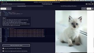 Learn CSS Flexbox by Building a Photo Gallery  Step 6 freecodecamp css learncss flexbox html5 [upl. by Agueda895]