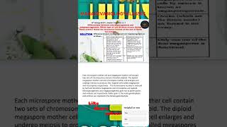 Differentiate between microsporogenesis and megasporogenesis Which type of cell division [upl. by Anette675]