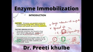 Enzyme Immobilization [upl. by Torras530]