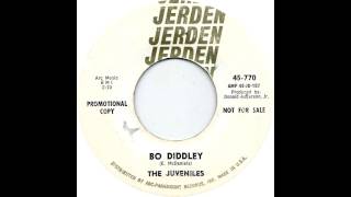 The Juveniles  Bo Diddley Bo Diddley Cover [upl. by Leinadnhoj603]