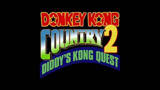 501st Video Special Donkey Kong Country 2  Disco Train Nintendo DS Style [upl. by Norvin100]