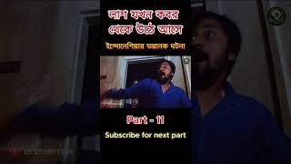 Satans Slaves Explained in Bangla  Part 11  horrorstories movieexplainedinbangla [upl. by Curkell]