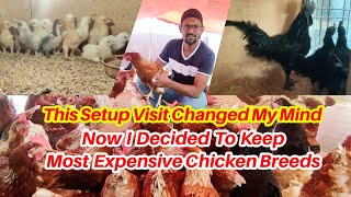 After Visiting This Setup I Decided To Keep Most Expensive Chicken Breed Ayam Cemani I M Wahaj Vlogs [upl. by Annehcu]