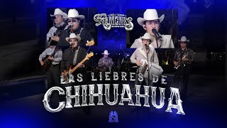 Las Liebres De Chihuahua  Los Ramones De Nuevo León [upl. by Jessica101]