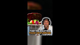 This food waste is insane [upl. by Tierney]