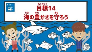 目標14｜海の豊かさを守ろう｜小学生からのSDGs [upl. by Cavan578]