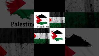 Palestine explore duet music africa independenceday canada shortvideo world palestine [upl. by Akiehsat]