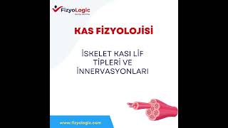 FİZYOLOGİC KAS FİZYOLOJİSİ  İSKELET KASI LİF TİPLERİ VE İNNERVASYONLARI [upl. by Yreneh]