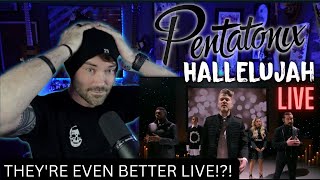 Metal Vocalist  Pentatonix Hallelujah Live  FIRST REACTION [upl. by Aidnis]