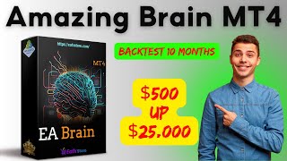 Amazing Brain MT4 Review and Backtests  FX STORE EA [upl. by Ielhsa]