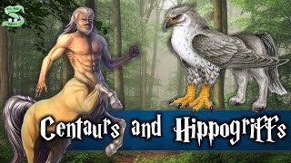 The History Of Centaurs And Hippogriffs Explained [upl. by Pry355]