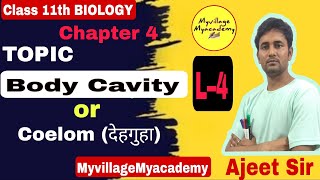 देहगुहा Body Cavity Or Coelom। By Ajeet Sir animalkingdomclass11 myvillagemyacademy [upl. by Milde]