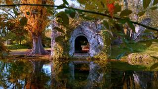 Ninfa Autunno [upl. by Norak354]