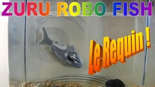 Zuru Robo Fish  requin en aquarium [upl. by Adnilema]