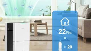 Top 5 Dehumidifiers 2025 [upl. by Cheslie526]