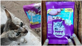 Whiskas Cat Food Review  Best Cat Kitten Food in India [upl. by Atima246]