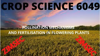 POLLINATION MECHANISMS AND DOUBLE FERTILIZATION IN PLANTS [upl. by Drais]