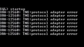 ORA12560 TNSProtocol Adaptor Error in Oracle 21c  Protocol Adapter Error [upl. by Rouvin]