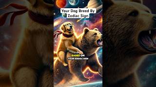 Your Dog Breed Based On Your Zodiac Sign pt2 [upl. by Suryc179]