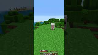 Pov  That Sheep 😞 minecraft memes [upl. by Eetnahs131]