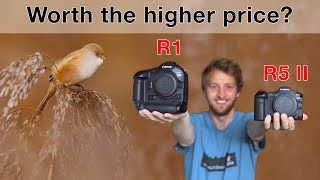 Canon R5 II or R1  Which is the BETTER Camera for Wildlife Photography [upl. by Eluj929]