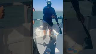 Great experience bay fishing in Port Aransas￼ shorts foryou subscribe [upl. by Notnelc722]