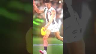 Scott Pendlebury edit afl shorts [upl. by Odine]