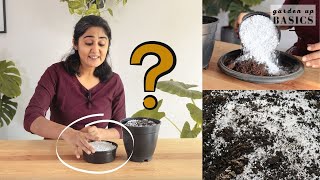 Why and how to use Perlite in soil mix  Ep 10 Garden Up Basics [upl. by Ramak]