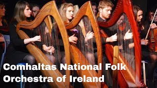 The Comhaltas National Folk Orchestra of Ireland [upl. by Orran464]