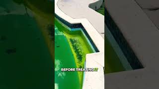 Pool cleaning PoolcareWeeklymaintenancepoolcleaning [upl. by Sholeen]