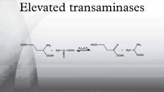 Elevated transaminases [upl. by Naejarual]