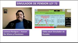 Calculo de tu pension Ley 73 con este simulador excel [upl. by Ynohtnacram]