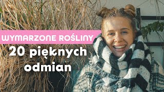 🌱 O czym marzę 20 pięknych roślin 🌱  wish list  wymarzone rośliny [upl. by Peony]