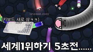 지렁이 키우기 게임 세계1등 하려다가 키보드 뿌셨습니다 [upl. by Mcbride581]