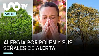 Sabes cuál son los síntomas de alergia por polen [upl. by Isleana157]