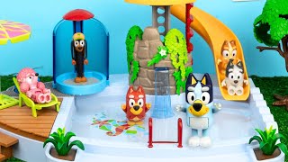 Bluey na Piscina Com Xilofone Mágico✨  Brinquedos Bluey em Português [upl. by Nylhtak]