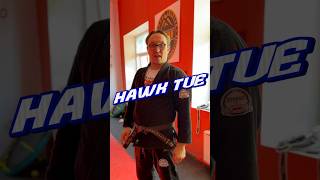 Howk tue hawktue martialarts джиуджитсу [upl. by Alves]