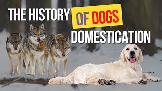 The History of Dog Domestication CanineEvolution DomesticatedDogs [upl. by Odlanra230]