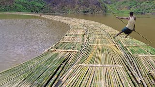 Genius Solution They Found to Move Millions of Bamboo Down River [upl. by Noyart]