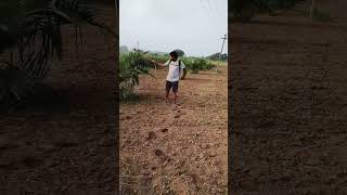 Palm🌴 oil spray pumping💪🏻 kgf farming agriculture shorts short videos palmoil [upl. by Marvel]