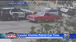 Caught On Video Driver Of El Camino Stops To Slash Tires Of 3 El Monte Police Vehicles [upl. by Htrowslle]