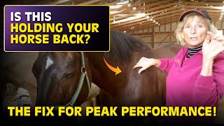 Is Your Horses First Rib Misaligned  The Hidden Key to Better Performance and Mobility [upl. by Johnsson238]