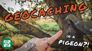 This Geocache was Quackers  UK Geocaching Vlog [upl. by Adallard]