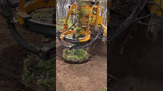 treecutting treecuttingservice didingmachine treedidingvideo treeremoval treedidingmachine [upl. by Ailesor]