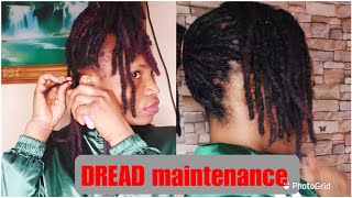 How to maintain your DREADLOCKS AT HOMEDREAD TIPS [upl. by Loring]