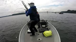 8182022 First fish of the season Umpqua River [upl. by Rombert]