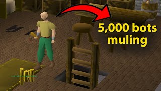 Jagex has Given F2P RuneScape to the Botters [upl. by Eecram]