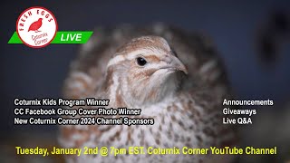 Coturnix Corner LIVE  New Year 2024 [upl. by Nathanoj956]