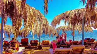 Amphoras Aqua Hotel in Sharm El Sheikh Egypt 4K [upl. by Mayman588]